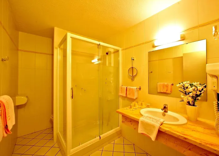 Logis Hotel Le Tropicana 3*