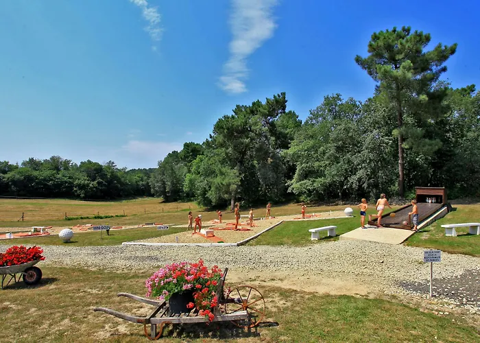 Hotel Logis Hotel Le Tropicana 3*